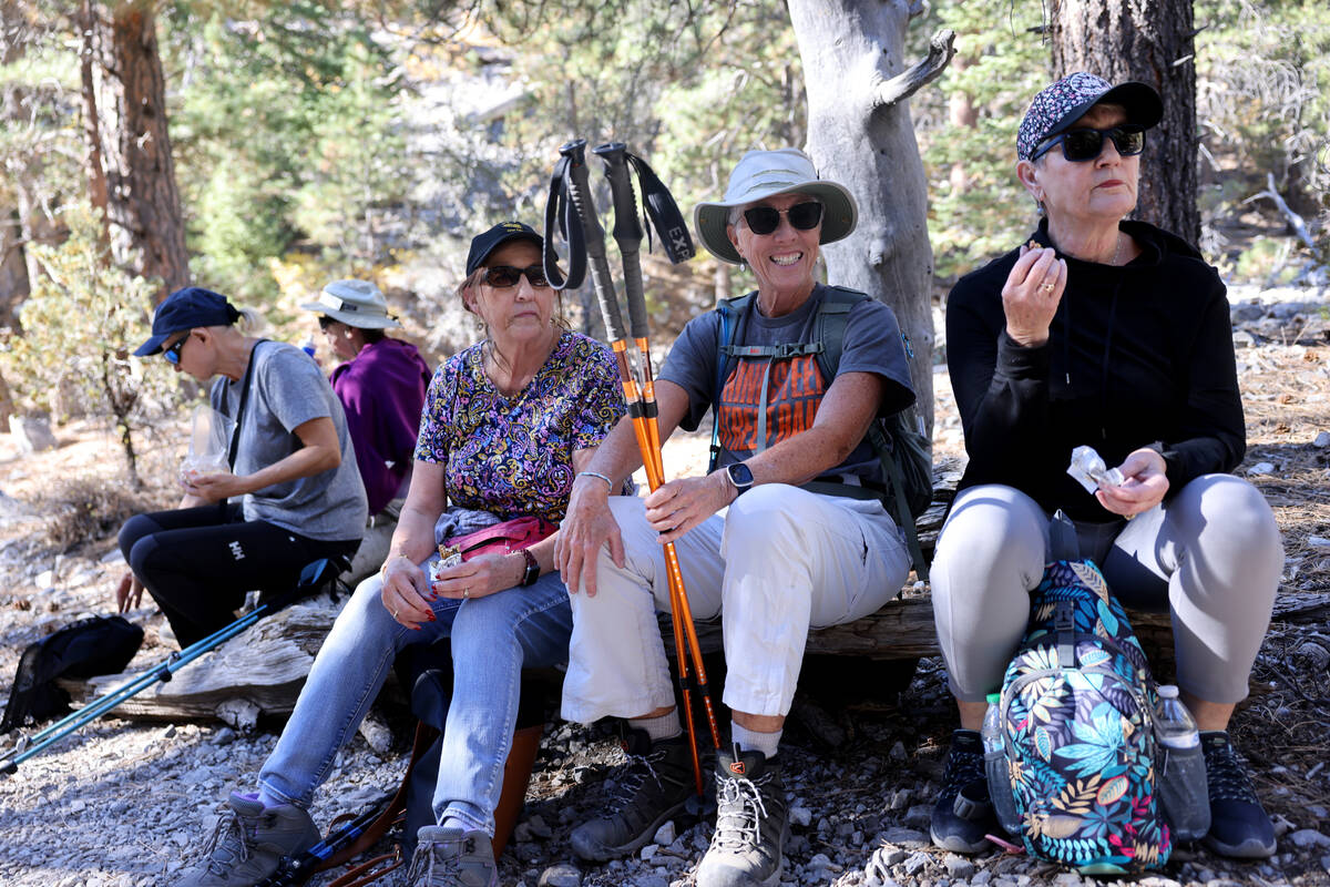 Members of the Westside Newcomers social club, including from right, Linda Egge, Judy Price and ...