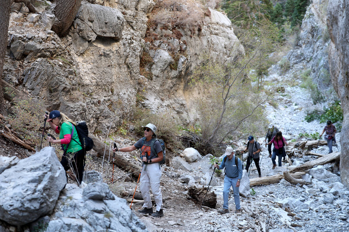 Members of the Westside Newcomers social club take hike in Fletcher Canyon on Mount Charleston ...