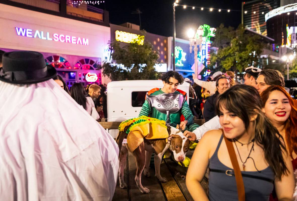 People pet a dog dressed as a taco on Fremont Street during Halloween night on Thursday, Oct. 3 ...