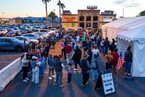 Voters stand in a long, back and forth line to cast their ballots in a polling spot at the Nell ...