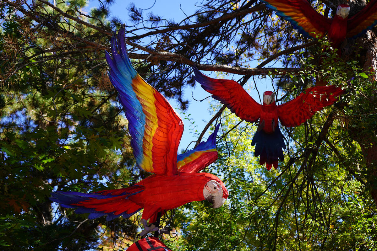 Daytime visitors to the May Arboretum at Rancho San Rafael Regional Park this month will discov ...