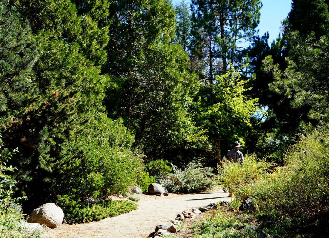 Shade and splendor await walkers who spend time on the paths meandering through 23 acres of the ...