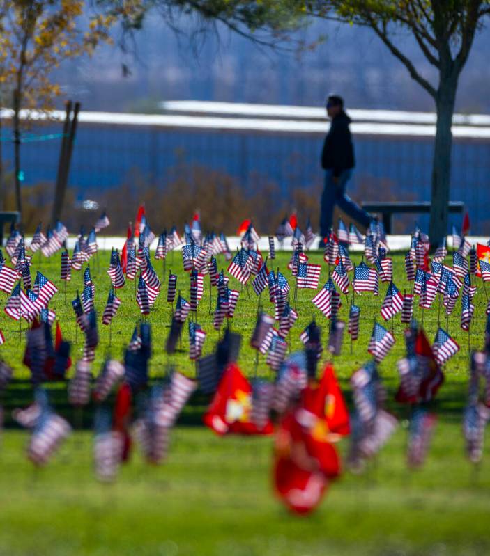 A visitor takes in around some of the nearly 14,000 small American flags at veterans grave mark ...