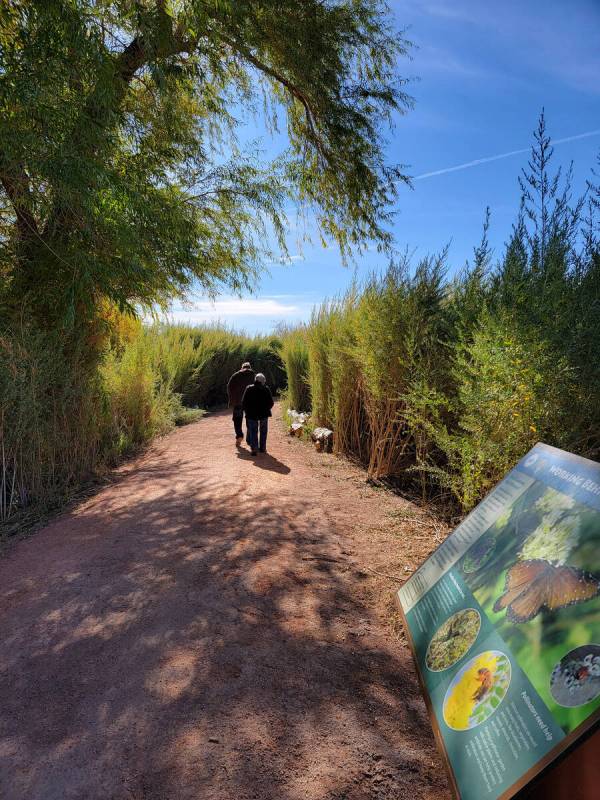 Wetlands Park visitors walk along a shady path with access to Cottonwood Grove. (Natalie Burt/S ...