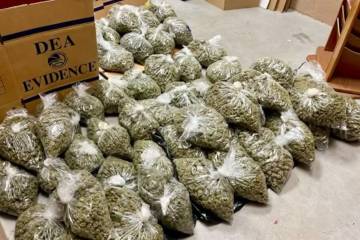 The North Las Vegas Police Department seized 25,950 grams of marijuana in a drug bust. (NLVPD/F ...