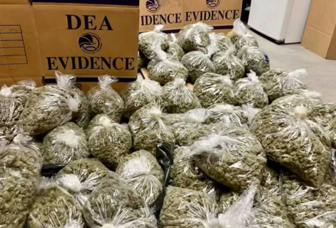 The North Las Vegas Police Department seized 25,950 grams of marijuana in a drug bust. (NLVPD/F ...