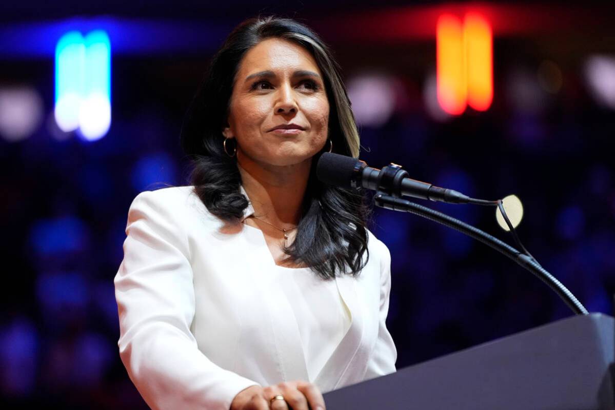 FILE - Tulsi Gabbard speaks before Republican presidential nominee former President Donald Trum ...