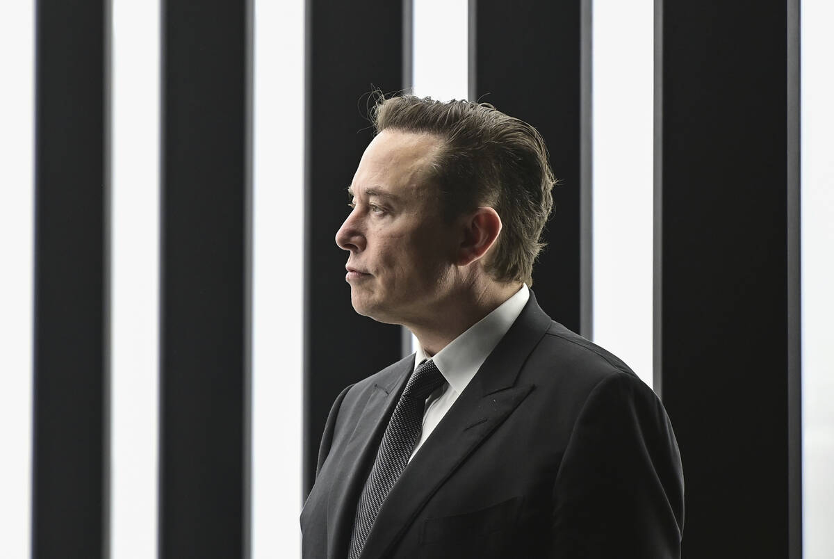 Elon Musk. (Patrick Pleul/Pool via AP)