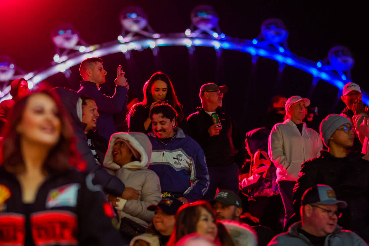 Formula 1 fans watch drivers zoom down the circuit during the second practice session ahead of ...