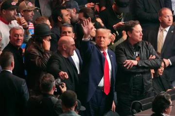 President-elect Donald Trump attends UFC 309 at Madison Square Garden, Saturday, Nov. 16, 2024, ...