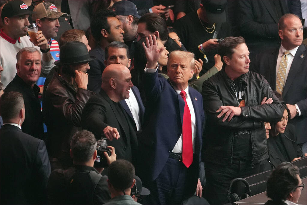 President-elect Donald Trump attends UFC 309 at Madison Square Garden, Saturday, Nov. 16, 2024, ...