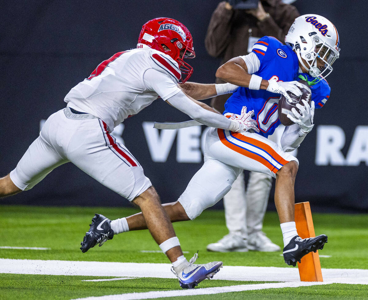 Bishop Gorman wide receiver Isaiah Nickels (0) hauls in a touchdown pass over Arbor View corner ...