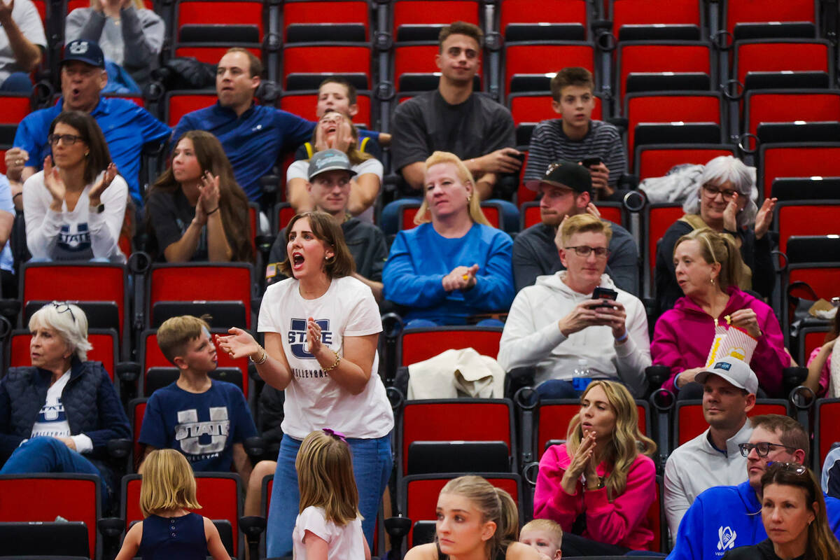 A Utah State fan cheers during a first round game between the Utah State and Boise State in the ...