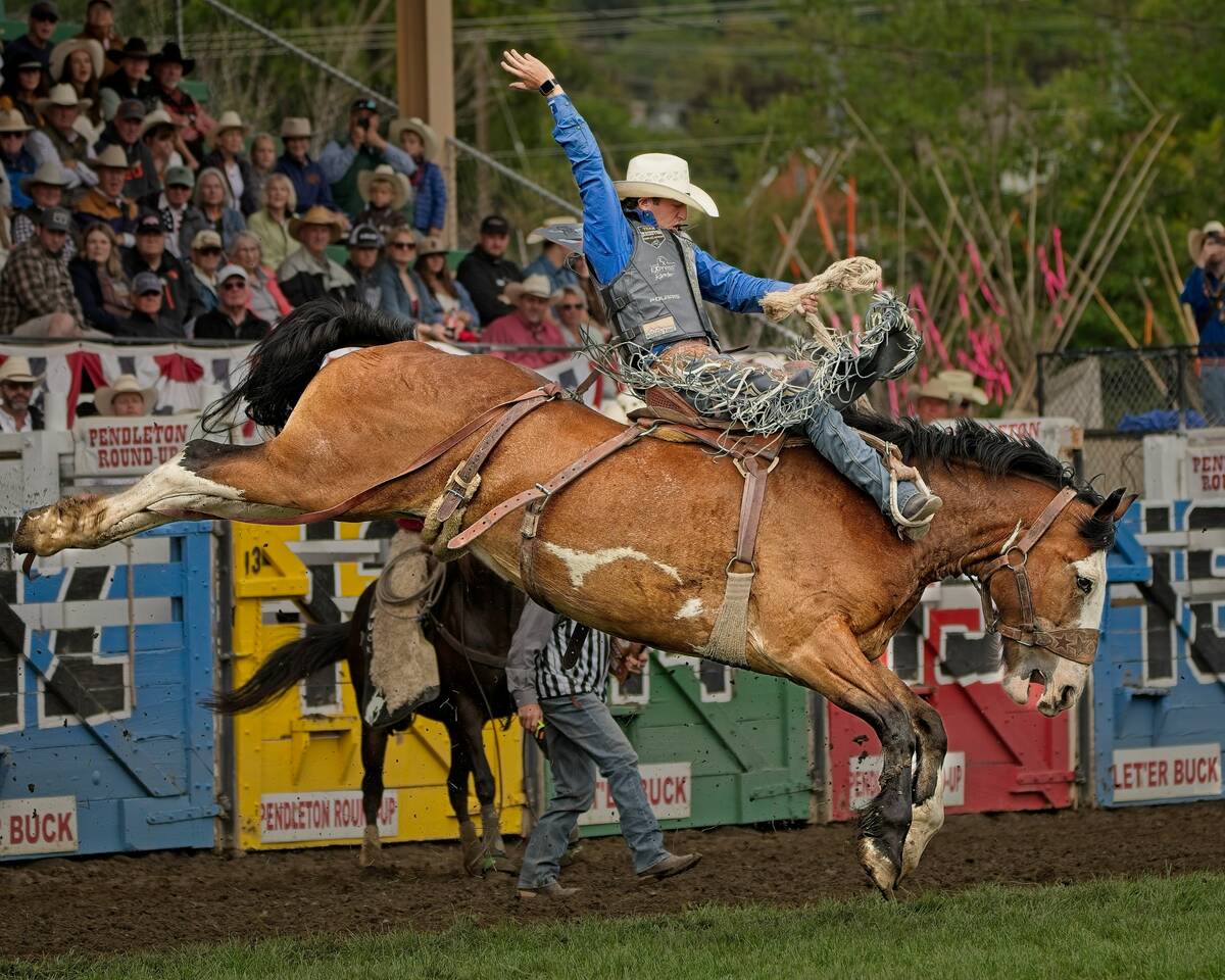 Statler Wright competes in saddle bronc riding. (Fernando Sam-Sin/Sam-Sin Photography)