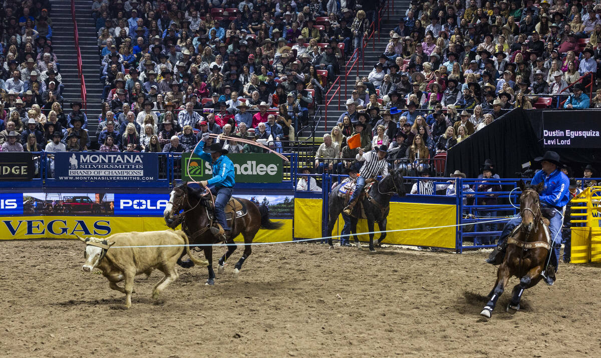 Header Dustin Egusquiza and heeler Levi Lord work a calf in Team Roping during day 6 action of ...