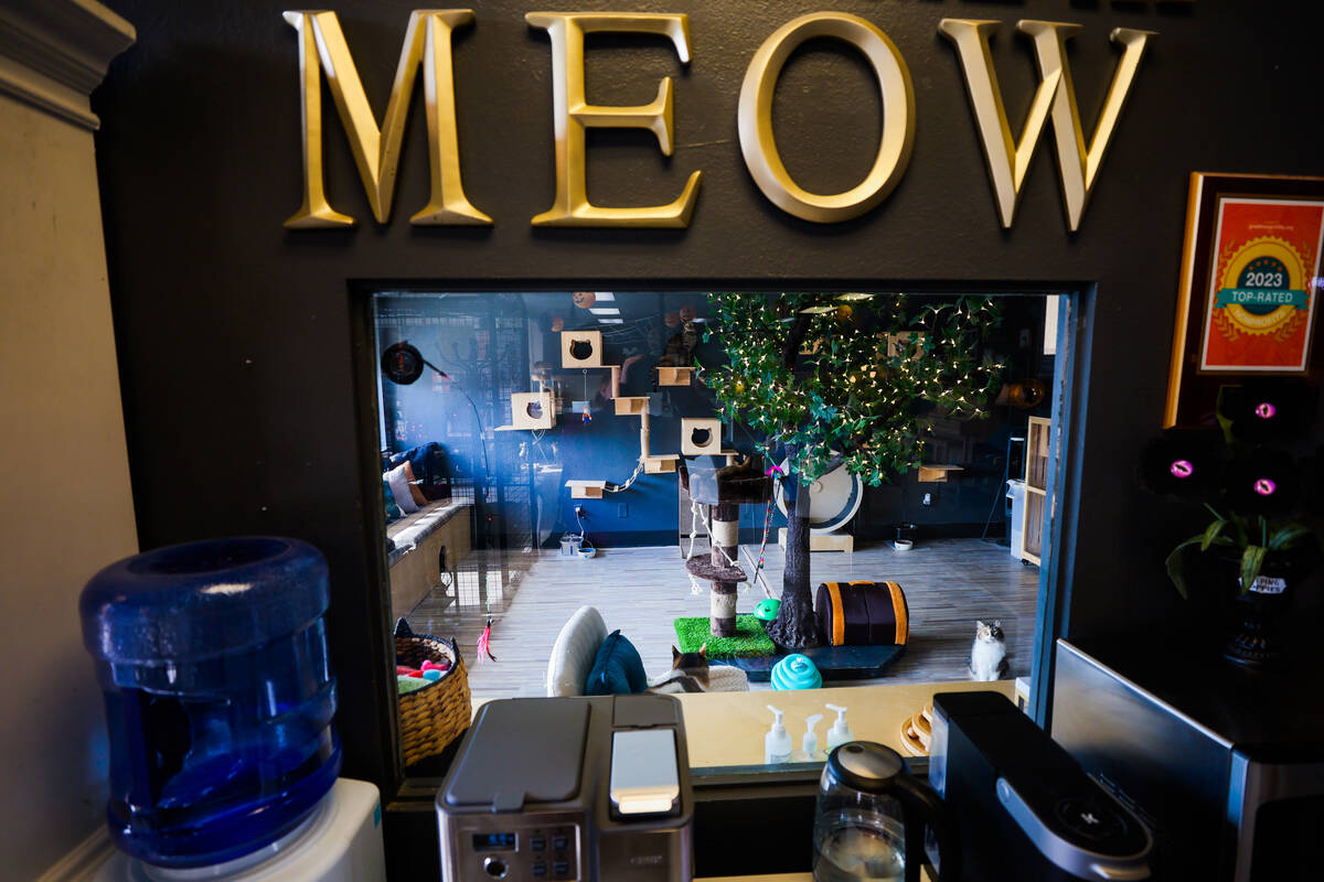 The Hearts Alive Cat Cafe on Oct. 30, 2024, in Las Vegas. (Madeline Carter/Las Vegas Review-Jou ...