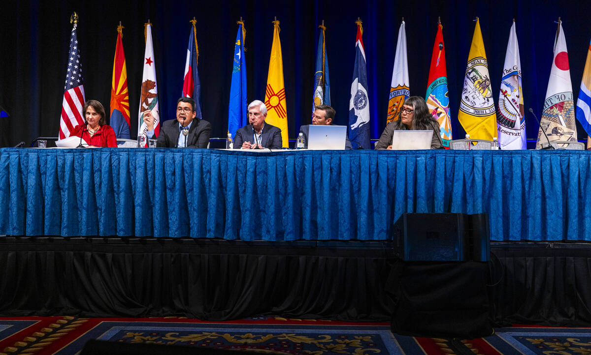 A panelist speaks during a session entitled "Keeping the Peace Among the Pieces: The Risks of L ...