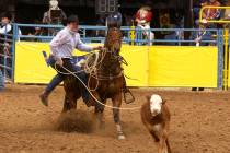 Joe Beaver competed in the Wrangler National Finals Rodeo 19 times. He finished his career with ...