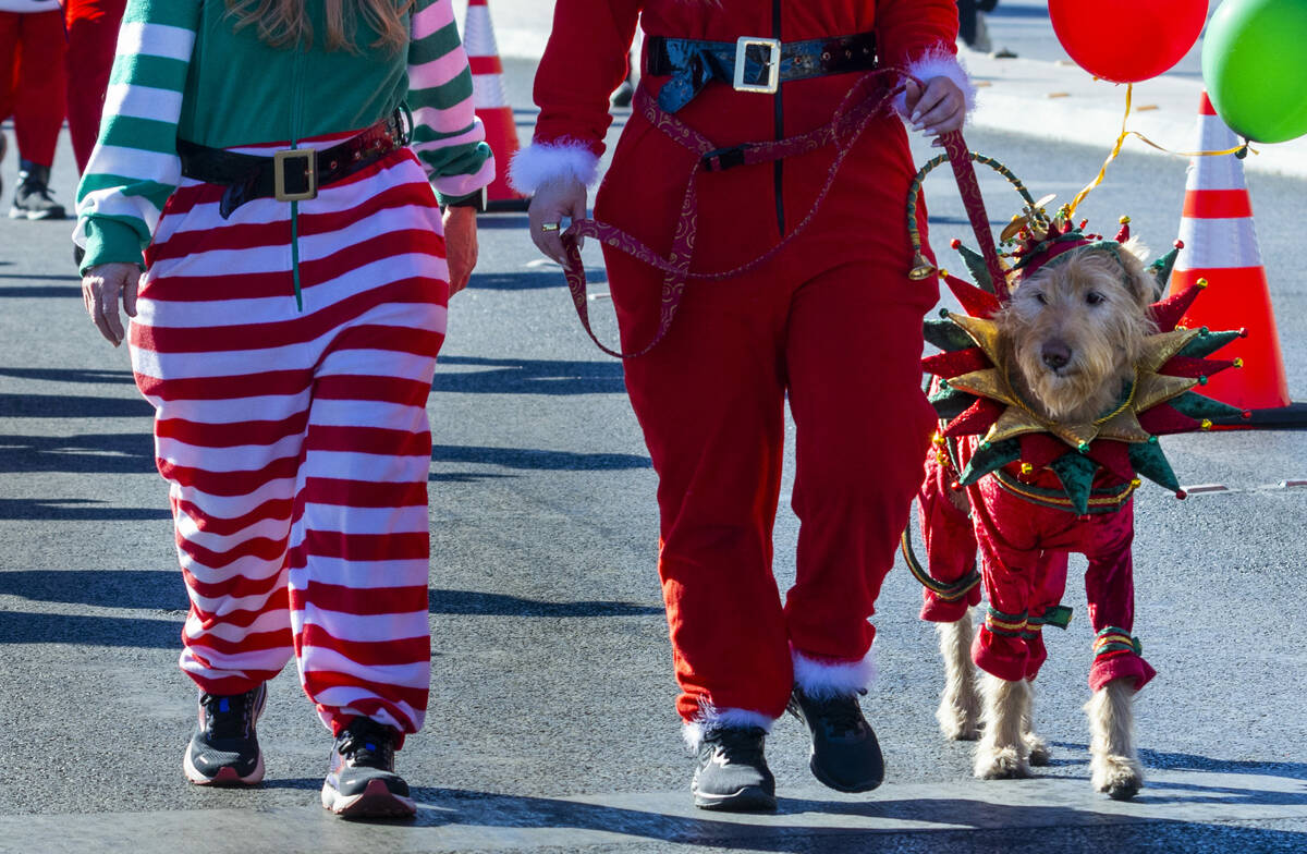 Junior the dog was best dressed again this year, 3 years running now, at the Las Vegas Great Sa ...