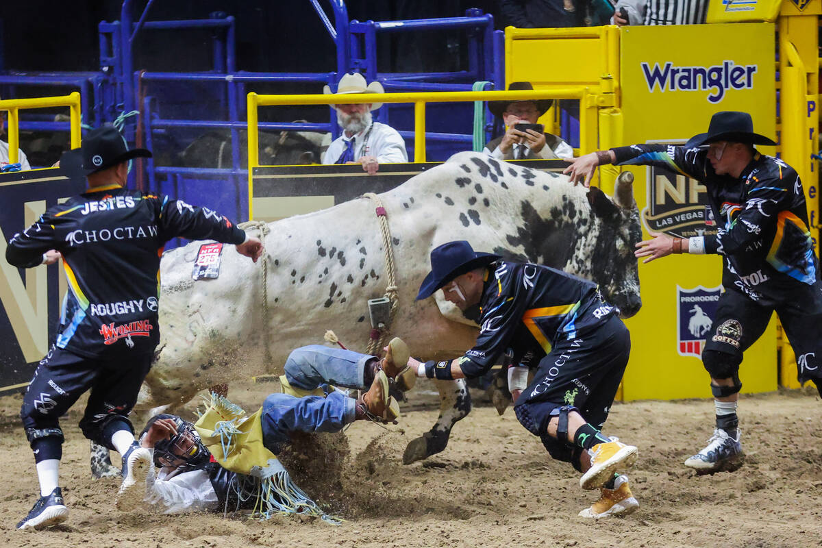 Bull rider Chase Dougherty falls off Hot Pop during round three of the National Finals Rodeo at ...