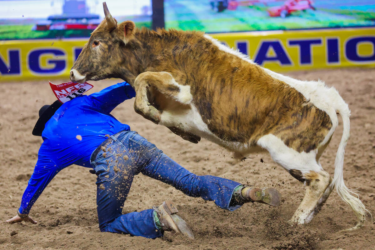 Steer wrestler Ty Erickson gets knocked over by a steer during round three of the National Fina ...