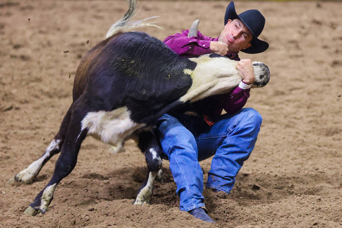 Steer wrestler Jesse Brown wrestles down a steer during round three of the National Finals Rode ...