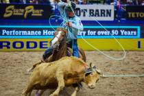 Team roper Kaden Profili ropes the calf by the legs during round three of the National Finals R ...