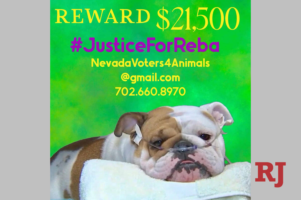 A post about the reward for Reba on Vegas Pet Rescue Project. (Facebook)