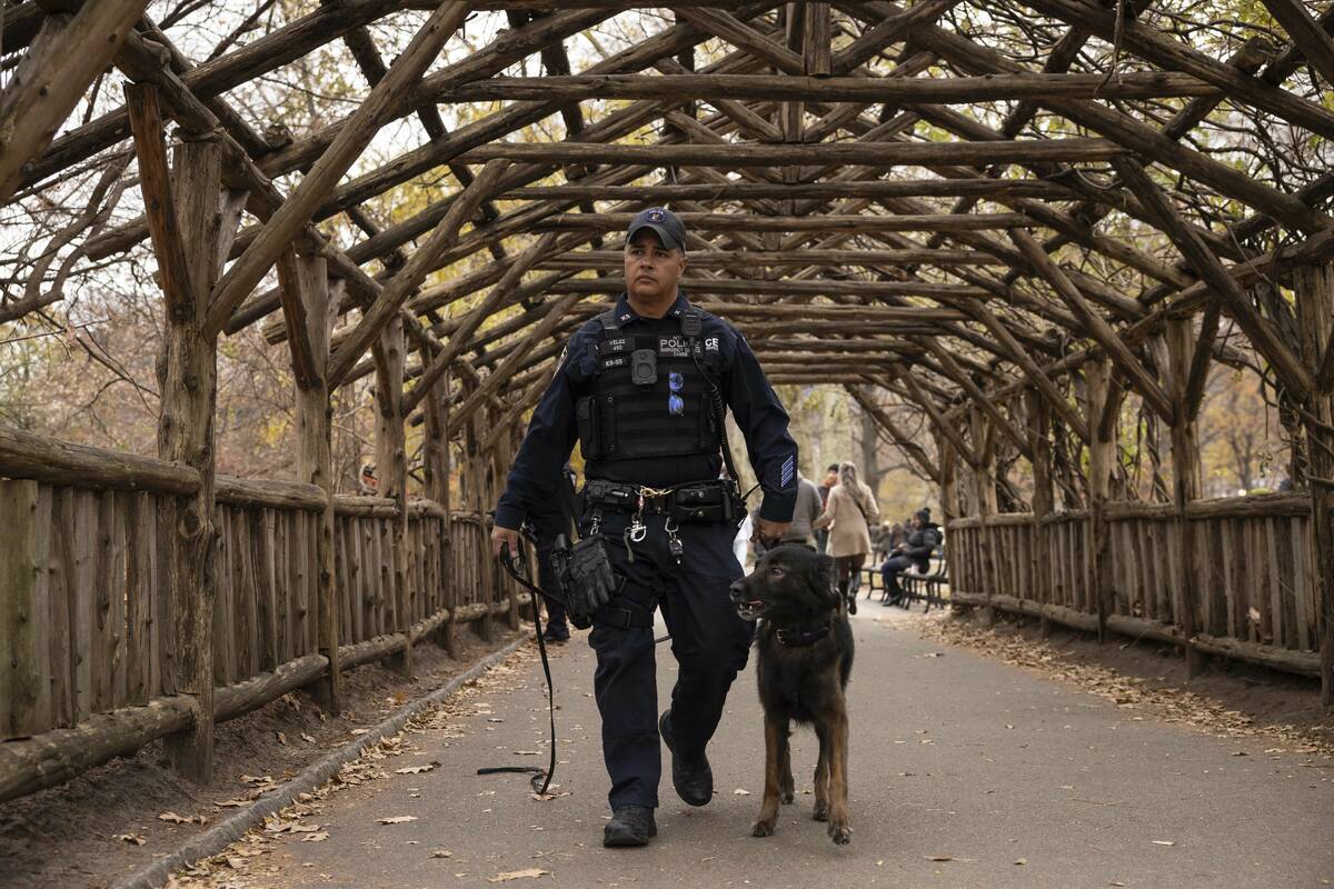 An NYPD police officer and K-9 dog search around a lake in Central Park, Monday, Dec. 9, 2024, ...