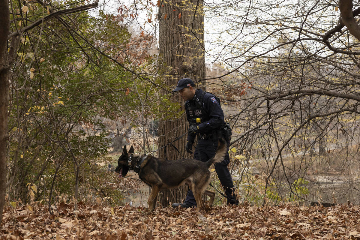 An NYPD police officer and K-9 dog search around a lake in Central Park, Monday, Dec. 9, 2024, ...