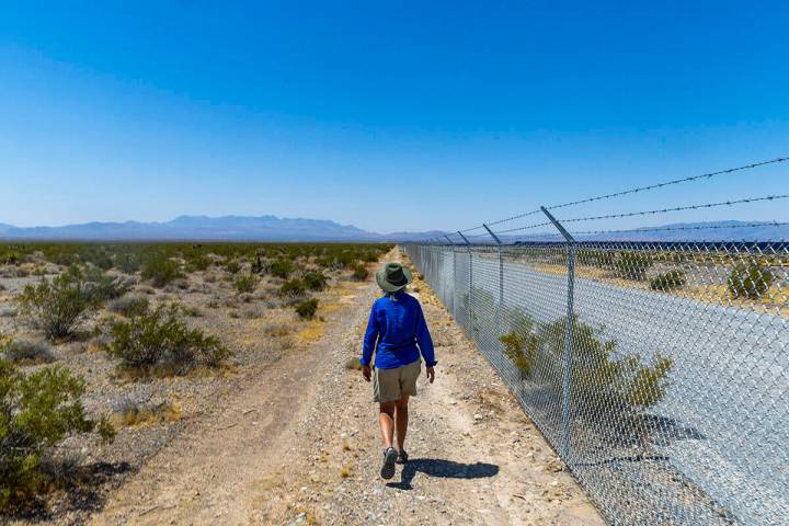 Environmentalist Laura Cunningham walks adjacent to the Yellow Pine Solar Project, near the Old ...