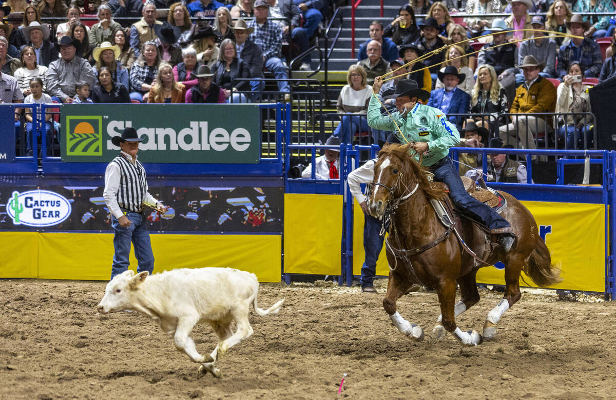 Tie Down Roping contestant Haven Meged looks to rope his calf for a winning time during Nationa ...