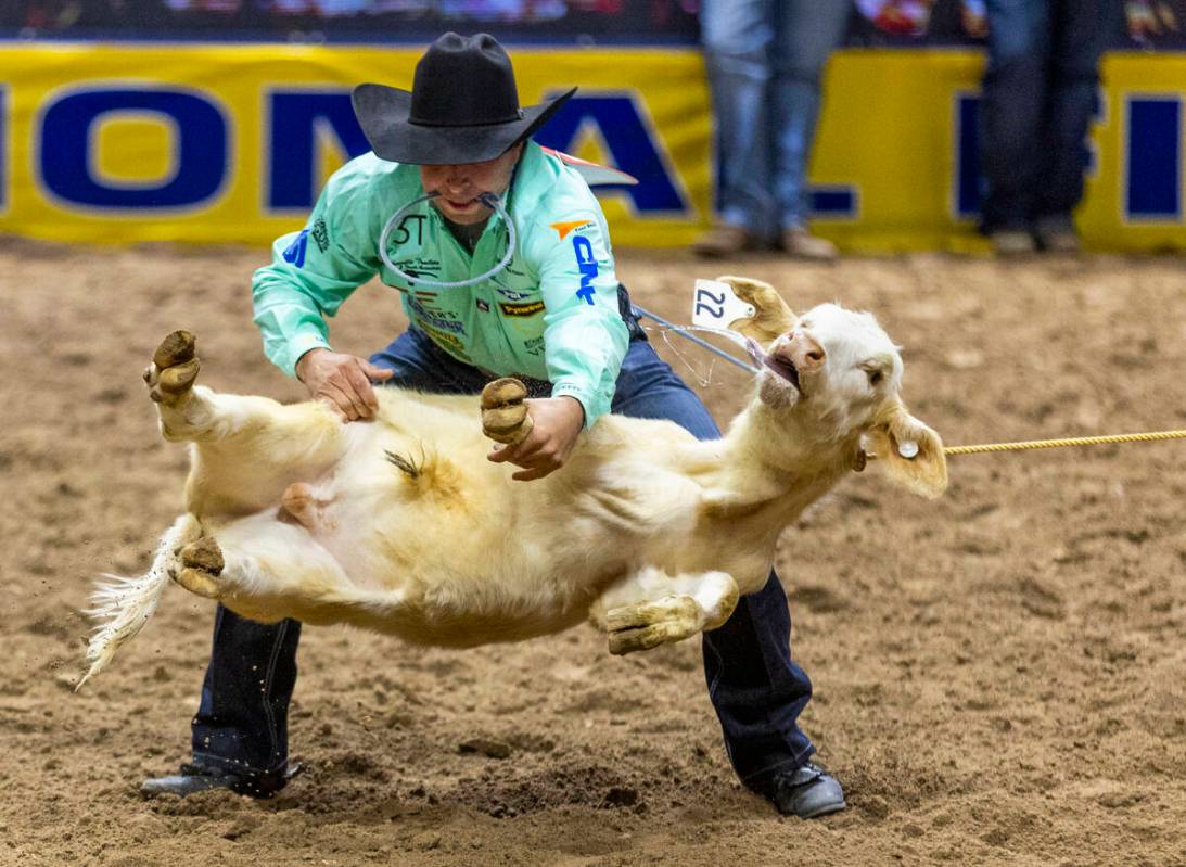 Tie Down Roping contestant Haven Meged upends his calf for a winning time during National Final ...