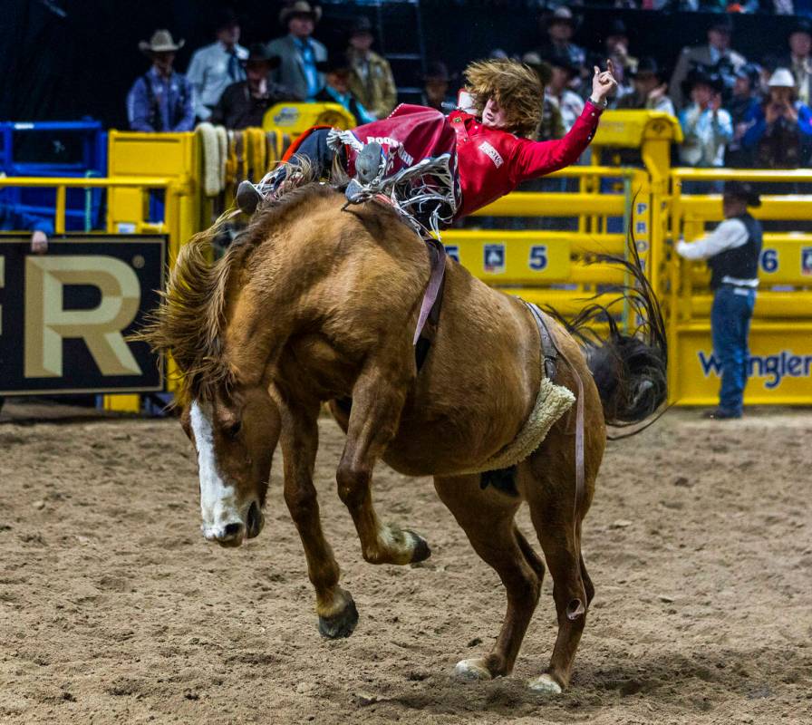 Bareback riding contestant Rocker Steiner rides Tator Tot to a winning score during National Fi ...