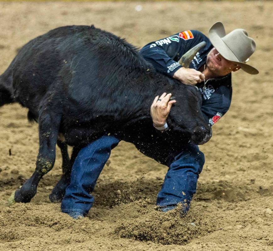 Steer Wrestling contestant Dakota Eldridge wraps up his steer for the take down during National ...