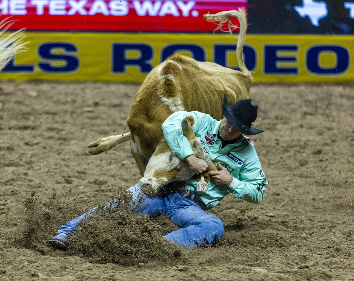 Steer Wrestling contestant Jesse Brown wraps up his steer for the take down during National Fin ...