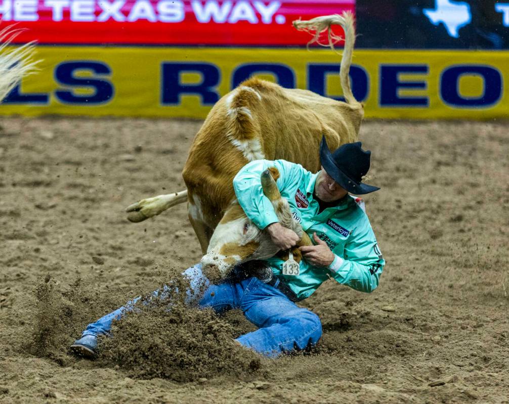 Steer Wrestling contestant Jesse Brown wraps up his steer for the take down during National Fin ...