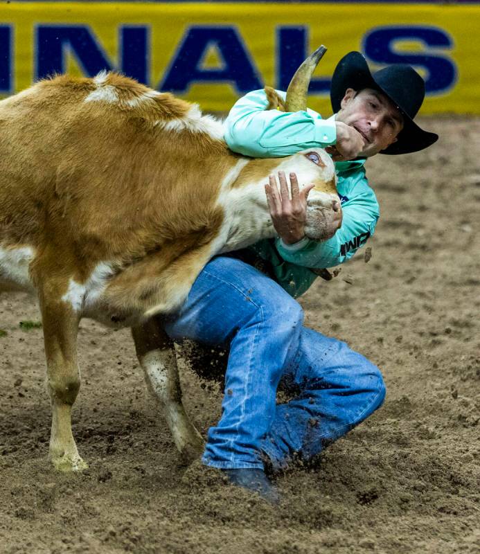 Steer Wrestling contestant Jesse Brown wraps up his steer for the take down during National Fin ...