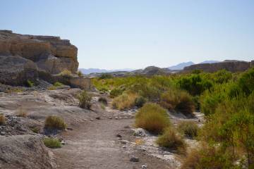 Park paths wind along the Upper Las Vegas Wash, which runs through Ice Age Fossils State Park o ...