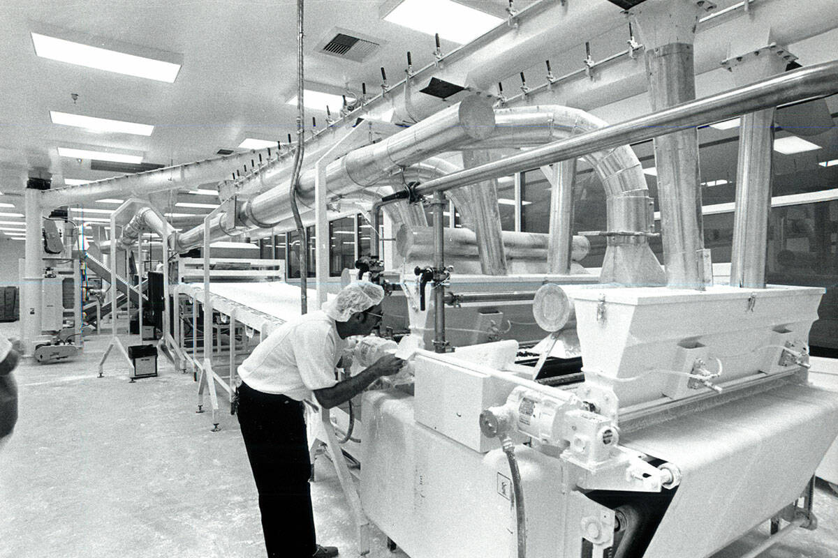 The Ethel M Chocolates factory in 1989. (File/Las Vegas Review-Journal)