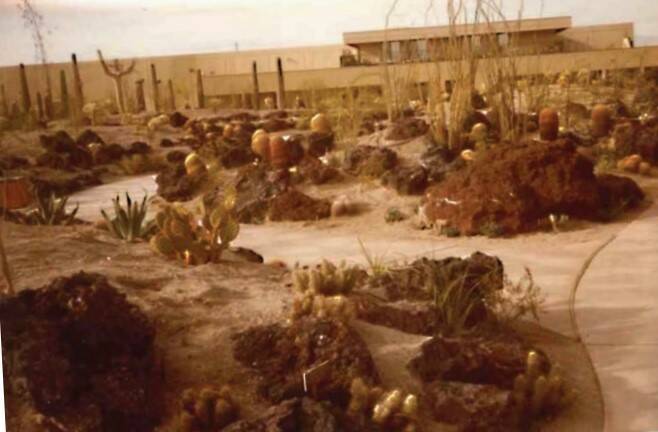 Ethel M Chocolates Cactus Garden in 1985. Mars' saguaro skeletons can be seen in the top left c ...