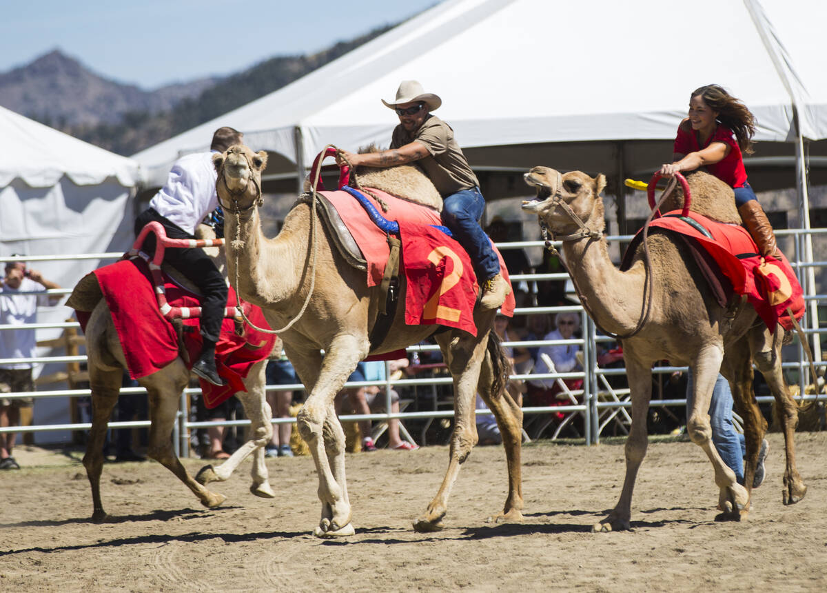 Adam Gaudette, left, races a camel during the first day of the 59th annual International Camel ...