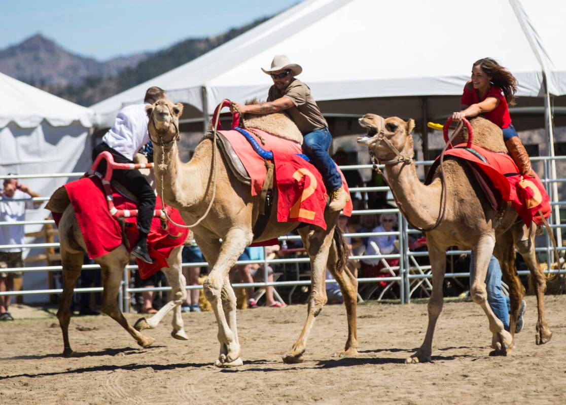 Adam Gaudette, left, races a camel during the first day of the 59th annual International Camel ...