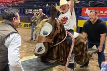 Nine-year-old Emme Sullivan keeps her focus while riding the seesaw bucking horse during Thursd ...