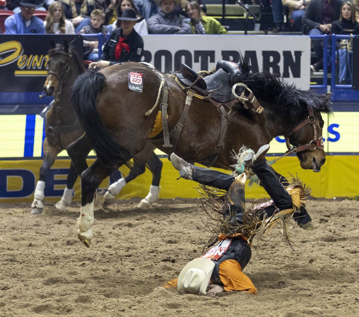 Brody Cress falls in to the dirt while competing in the saddle bronc riding event during day ni ...