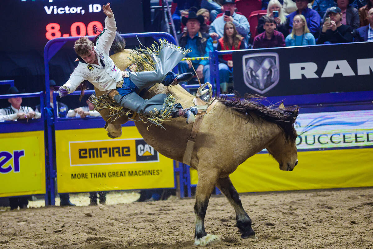 Bareback rider Cooper Cooke falls off the horse at the end of his ride during the final night o ...