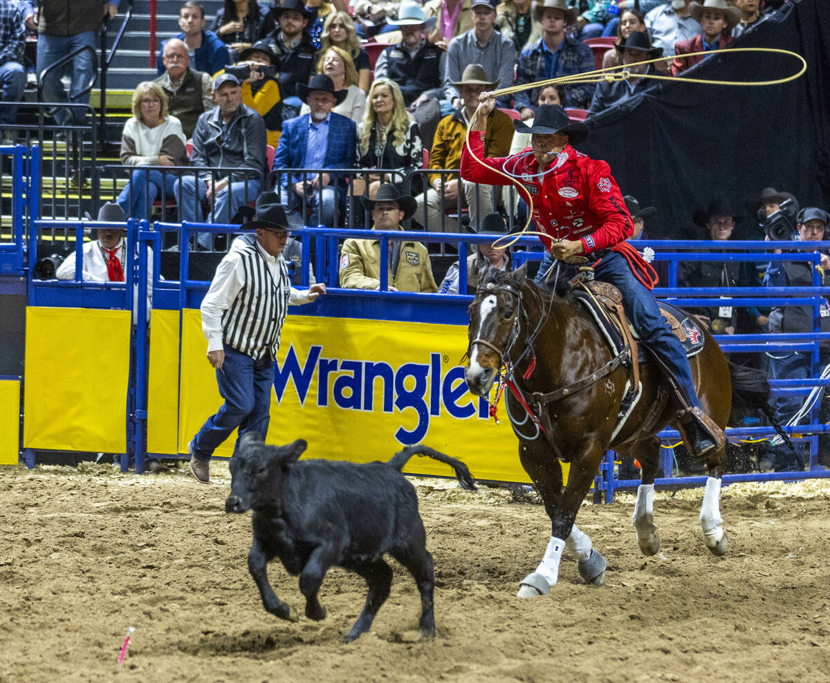 Tie Down Roping contestant Shad Mayfield looks to lasso his calf during National Finals Rodeo D ...