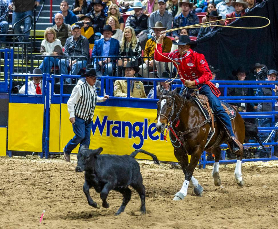 Tie Down Roping contestant Shad Mayfield looks to lasso his calf during National Finals Rodeo D ...