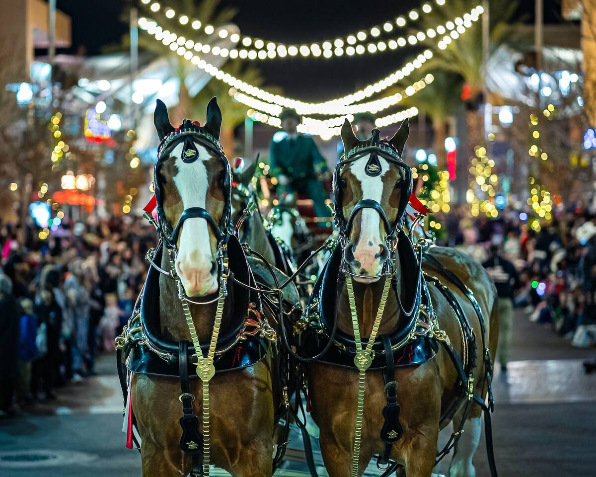 Downtown Summerlin The Budweiser Clydesdales made a recent appearance at the parade, headlining ...