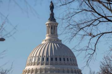 The Capitol is seen in Washington. (AP Photo/J. Scott Applewhite)